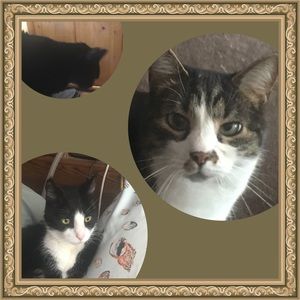 Meet your Posher, Beverly